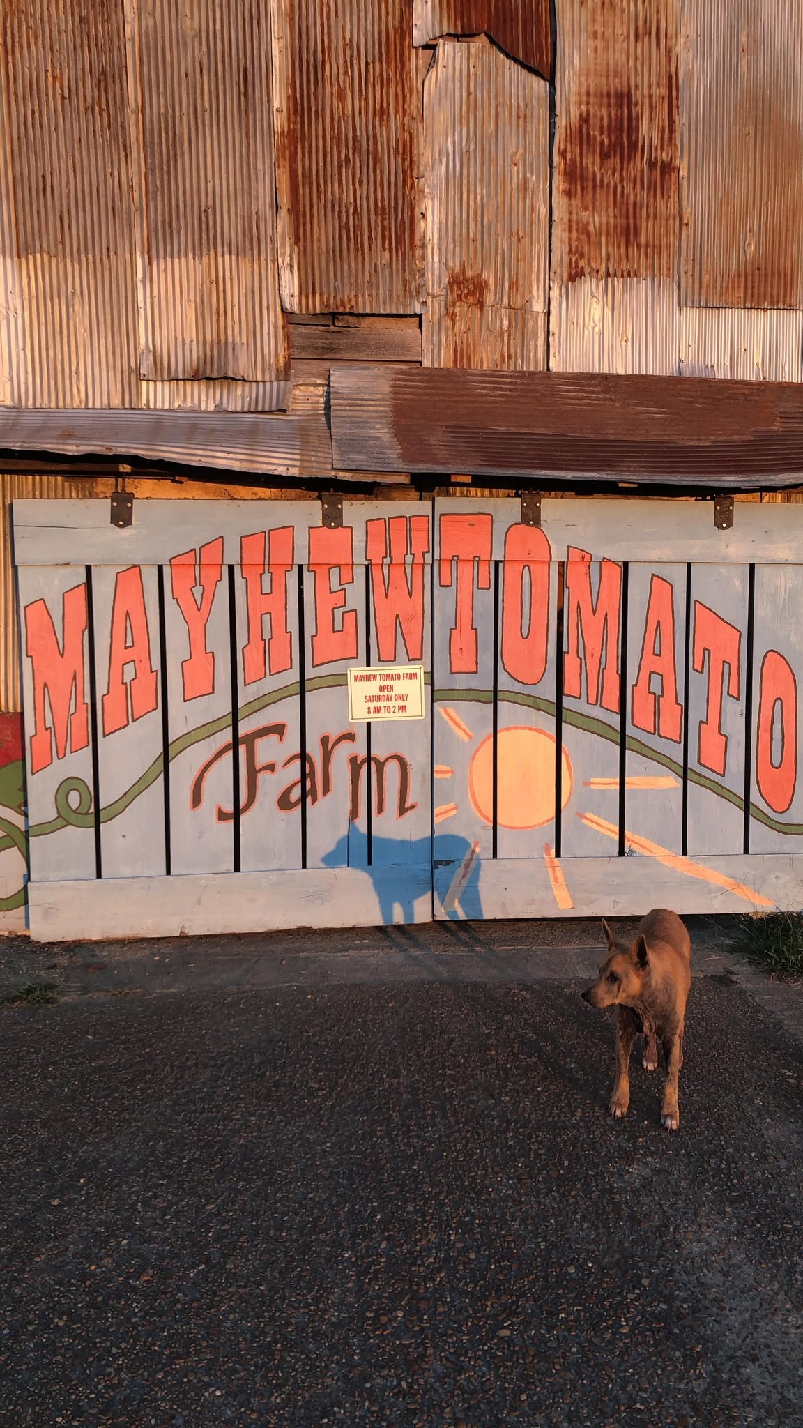 Mayhew Barn Doors