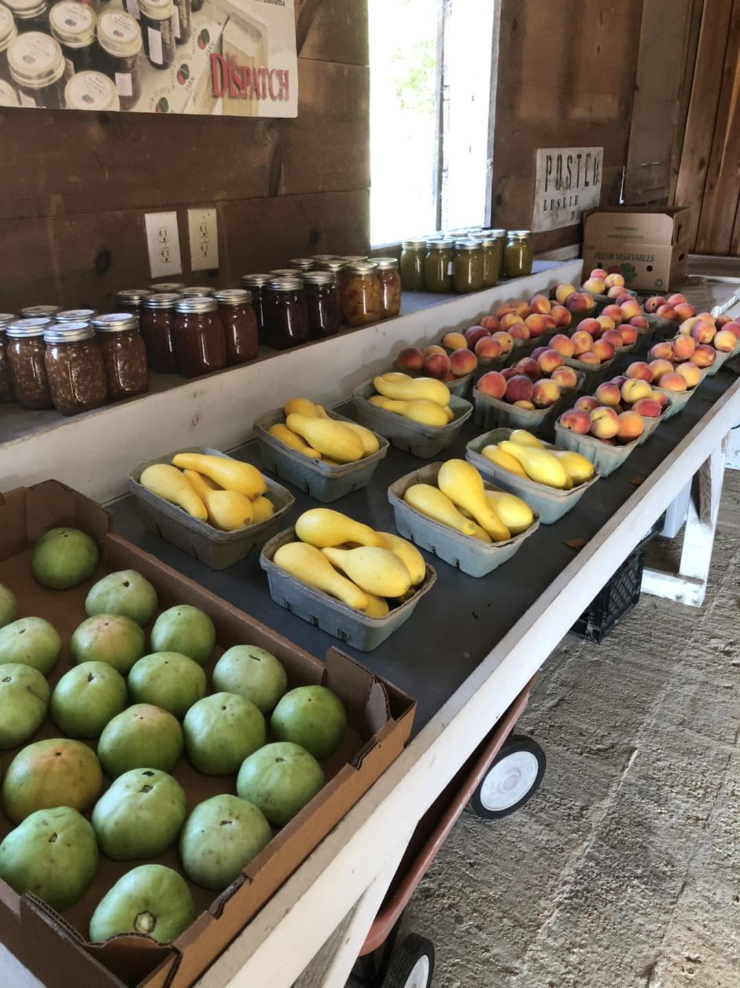 Fruit and Tomatoes